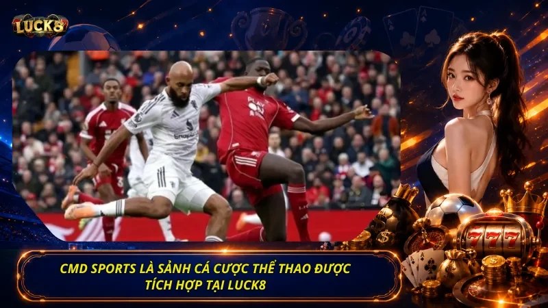 CMD Sports là sảnh cá cược thể thao được tích hợp tại Luck8