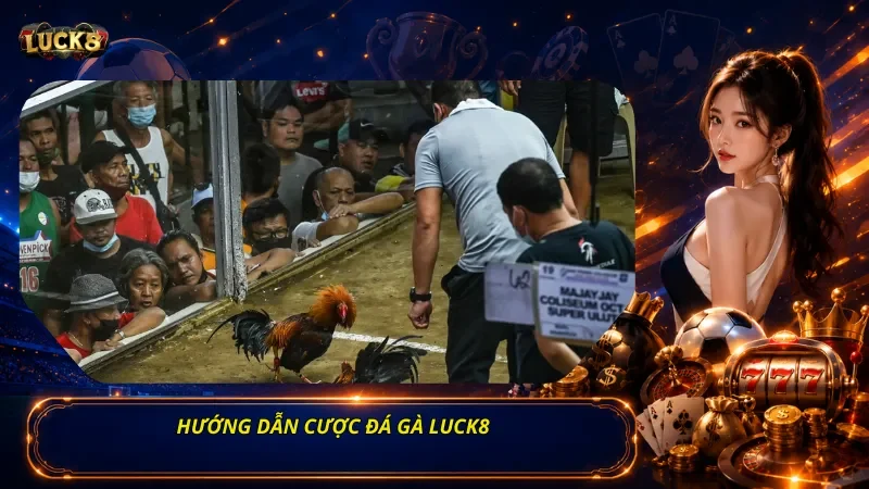 Hướng Dẫn Cược Đá Gà Luck8
