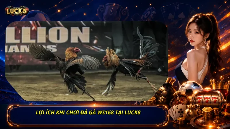 Lợi ích khi chơi Đá gà WS168 tại Luck8